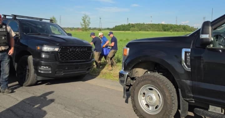 Kangaroo captured following careful operation, Quebec officials confirm
