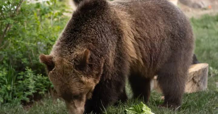 1786939216_2026_ZOO_SUMMER_ANIMALS-3452.jpg