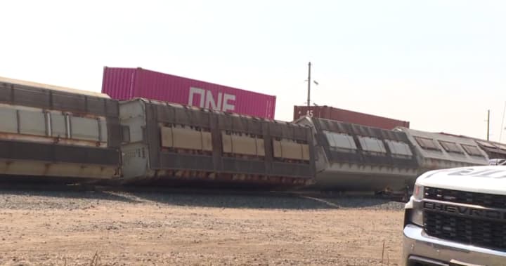 Investigation launched into train derailment in Regina rail yard