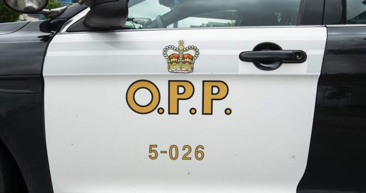 Eight deaths reported on Ontario roads and waterways during Civic Holiday weekend