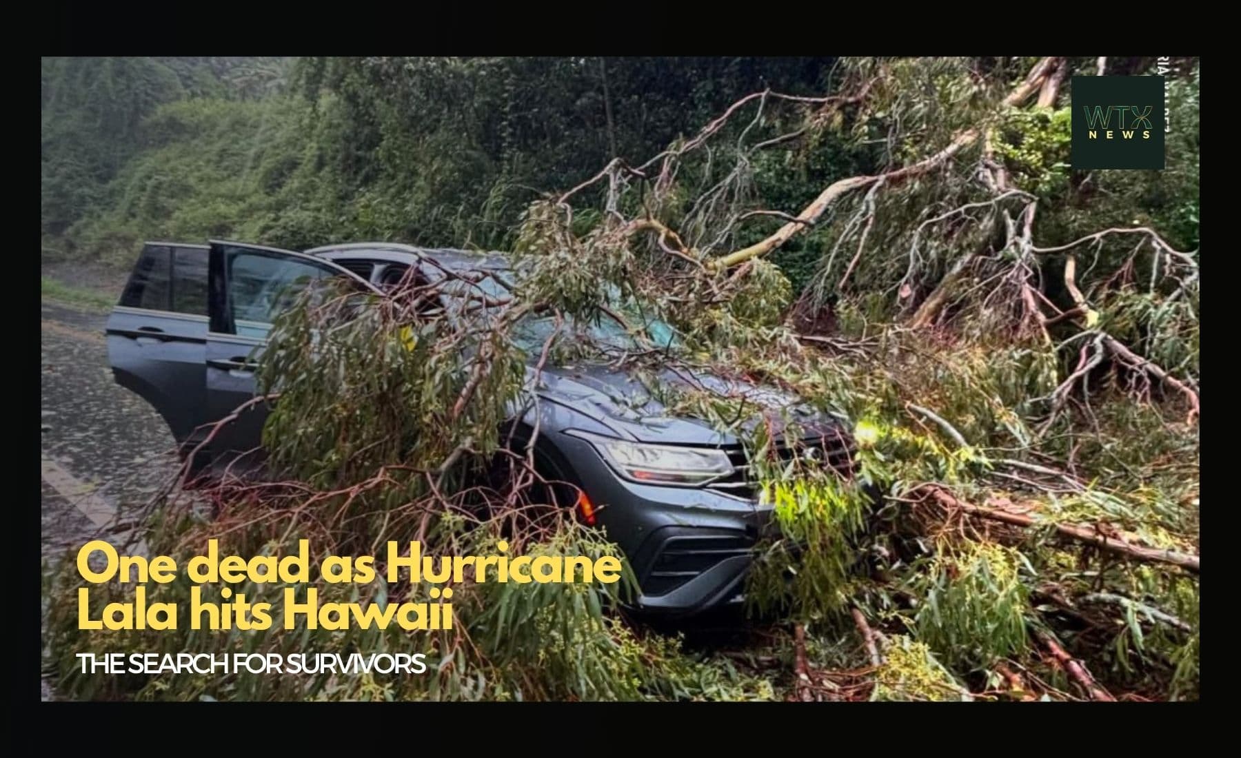 One dead as Hurricane Lala hits Hawaii with 91mph winds and heavy rain