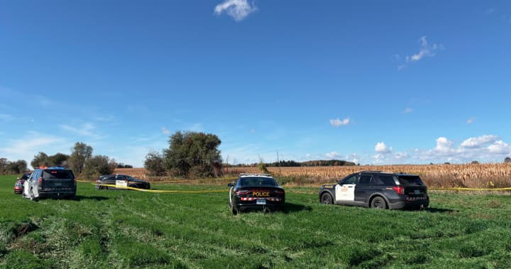 Two fatalities reported in plane crash and fire near Fergus, Ontario