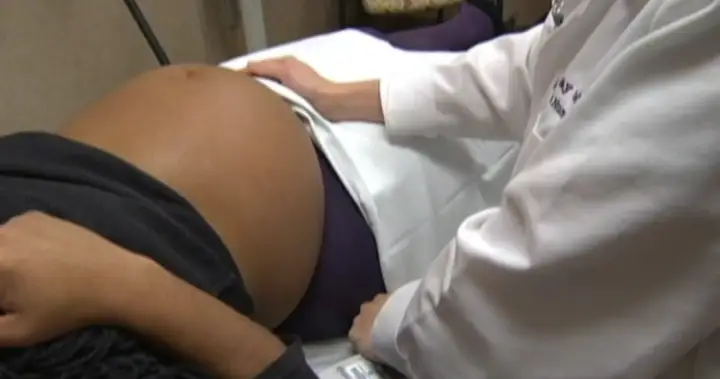 Federal IVF programme aimed at unifying diverse approaches, experts say