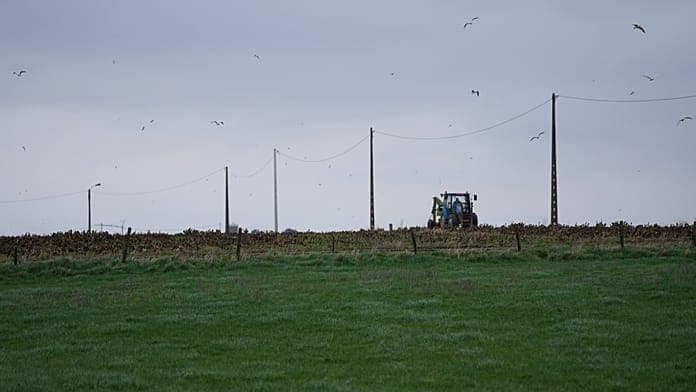 European Court of Auditors Raises Concerns Over EU Agricultural Budget Plan