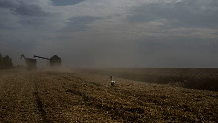 Egypt receives fourth shipment of stolen Ukrainian grain from Russia