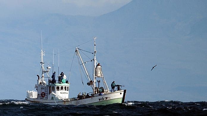 Iceland resumes whaling, killing two fin whales off its coast Iceland resumes whaling, killing two fin whales off its coast