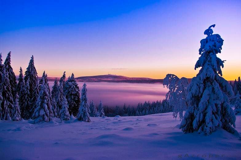 Things you can do at a ski resort if you hate skiing in 2025