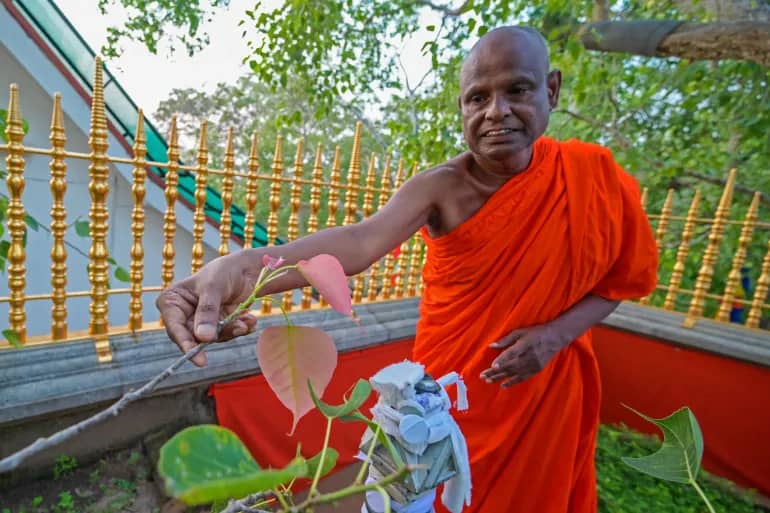 Senior Sri Lankan monk suspended following child sex abuse allegations