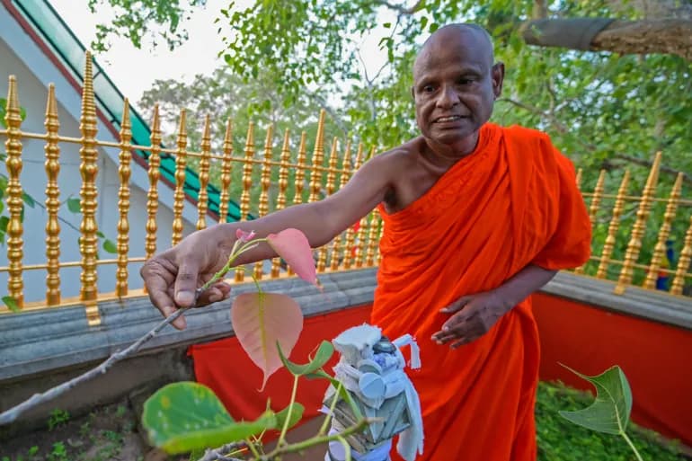 Senior Sri Lankan monk suspended following child sex abuse allegations