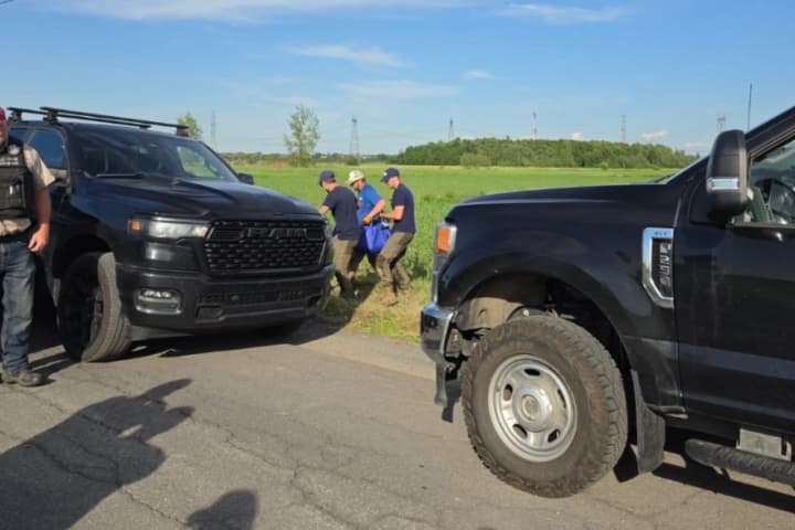 Kangaroo captured following careful operation, Quebec officials confirm