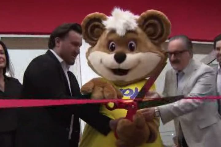 Shoppers welcome Zellers' return to Toronto with nostalgia and excitement