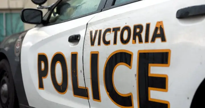 Three injured and two arrested following assault near Beacon Hill Park in Victoria