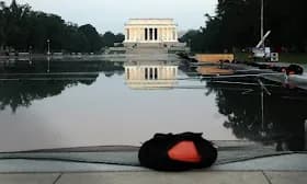 Ex-Olympian indicted for felony charge over Washington Reflecting Pool damage Ex-Olympian indicted for felony charge over Washington Reflecting Pool damage