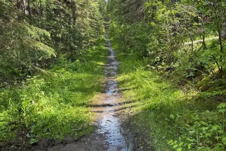 Kananaskis recovers from floods but some trails remain closed