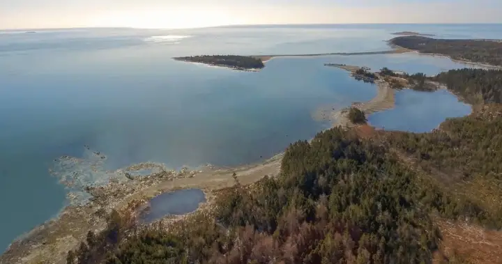 Whale sanctuary project secures 20-year lease in Nova Scotia amid opposition