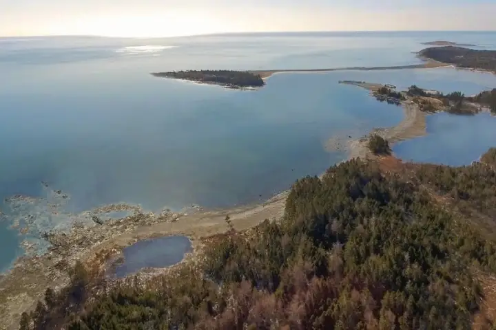 Whale sanctuary project secures 20-year lease in Nova Scotia amid opposition
