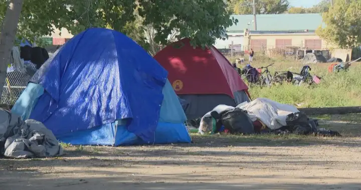 Saskatoon pauses encampment clean-up due to aggressive protests Saskatoon pauses encampment clean-up due to aggressive protests