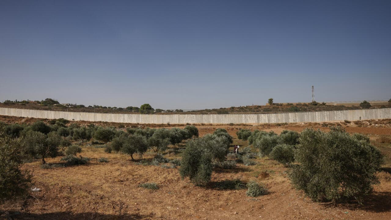 Israeli settlers attack European diplomats during Palestinian olive harvest Israeli settlers attack European diplomats during Palestinian olive harvest
