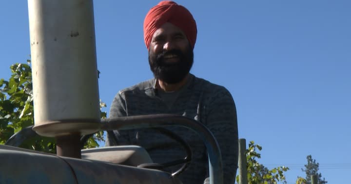 Okanagan growers report crop insurance fails to address climate change risks Okanagan growers report crop insurance fails to address climate change risks