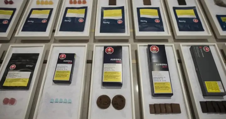 Legal cannabis retailers seek more than enforcement to combat illicit sales Legal cannabis retailers seek more than enforcement to combat illicit sales