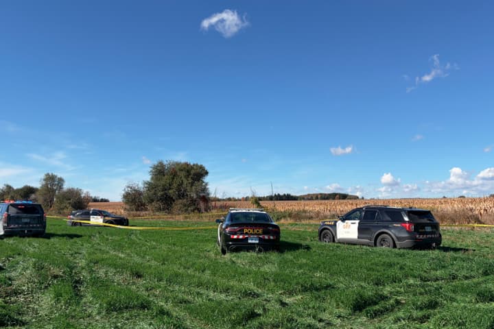 Two fatalities reported in plane crash and fire near Fergus, Ontario