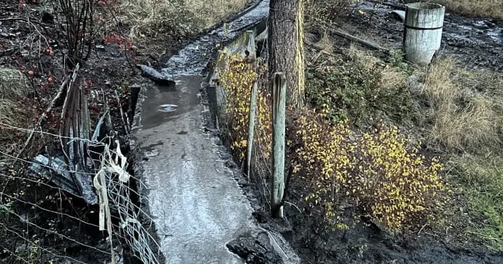 Landslides in Summerland raise concerns over wildfire-affected slopes Landslides in Summerland raise concerns over wildfire-affected slopes